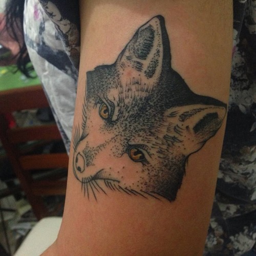 black-and-grey-fox-tatto-upper-arm