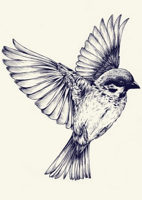 girl-bird-tattoo-10