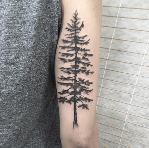 pine-tree-tattoo