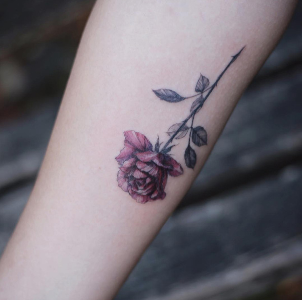 beautiful-rose-tattoo