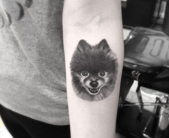 pomeranian-tattoo-design