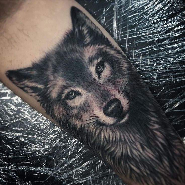 9a741524a51f8656fea0f49af5695d41--tattoo-wolf-tattoo-me