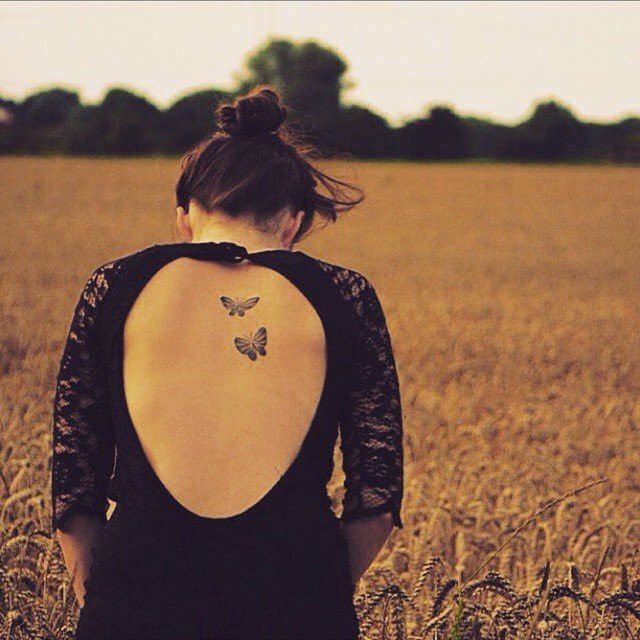 butterfly