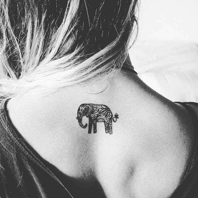 elephant