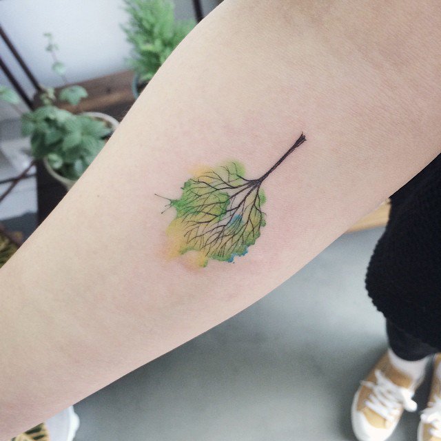 tree