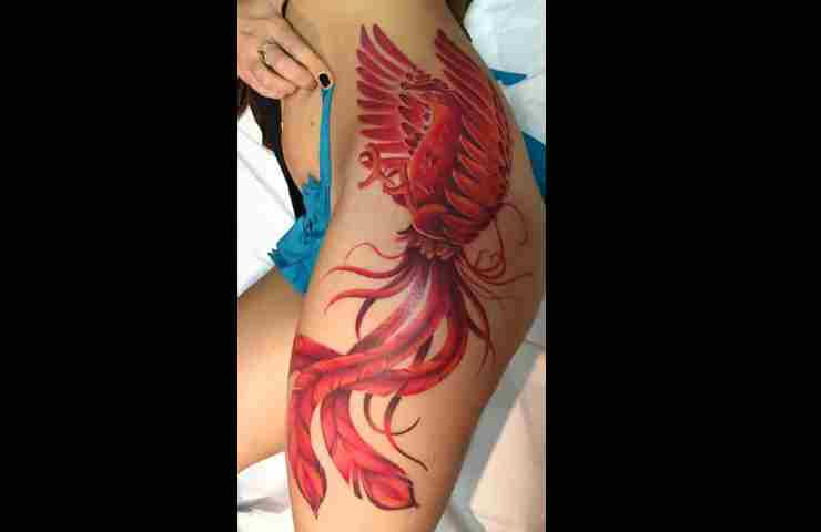 tatuaggio fenice