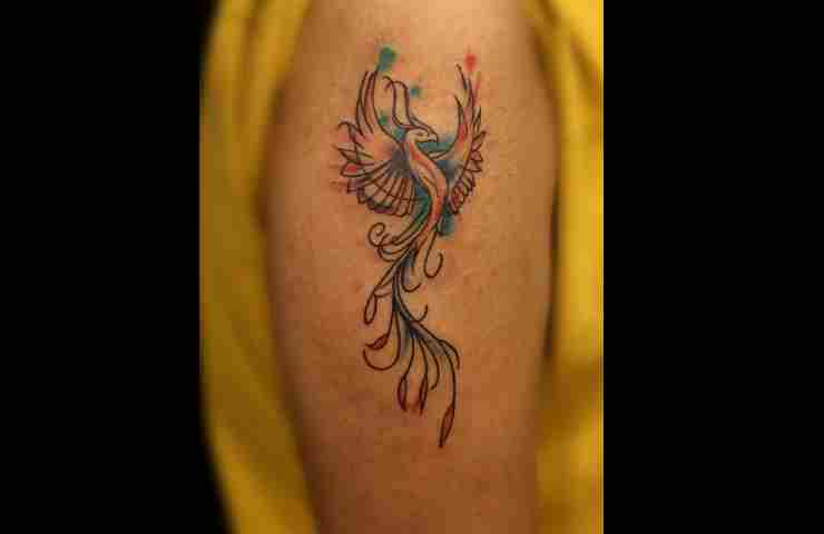 tatuaggio fenice