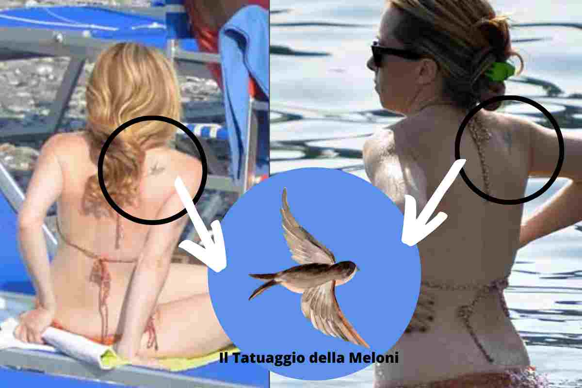 tatuaggio Meloni rondine