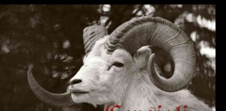 Ariete tatuaggio