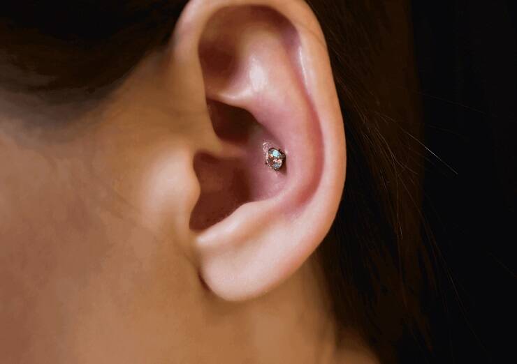 conch piercing